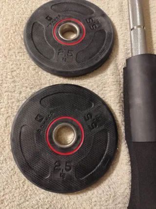 Lote musculación:Barra,discos,protector y cierres