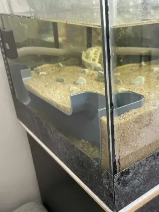 Túnel Acuario/Terrario Plástico