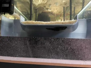 Túnel Acuario/Terrario Plástico