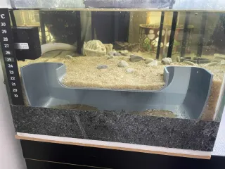 Túnel Acuario/Terrario Plástico