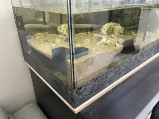 Túnel Acuario/Terrario Plástico