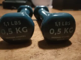 Lote Pesas Decathlon 0,5 y 1 kg