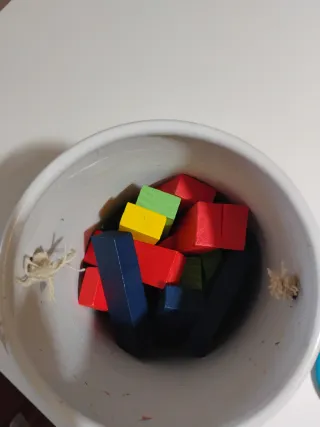 Tambaleo Plus Juego de Mesa