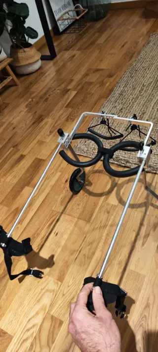 Silla de ruedas para perros
