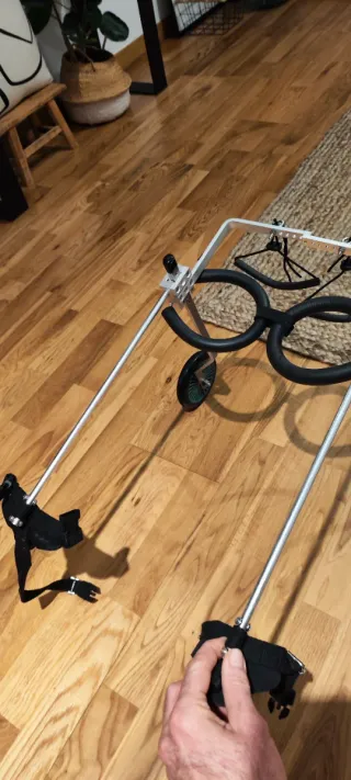 Silla de ruedas para perros