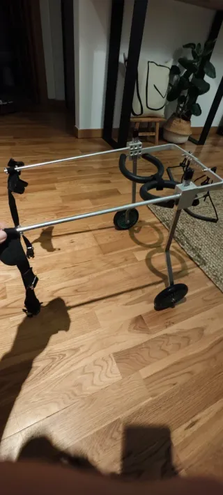 Silla de ruedas para perros