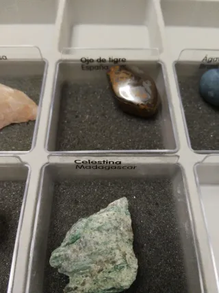 Collezione Minerali in Scatola Espositiva
