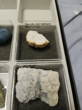 Collezione Minerali in Scatola Espositiva