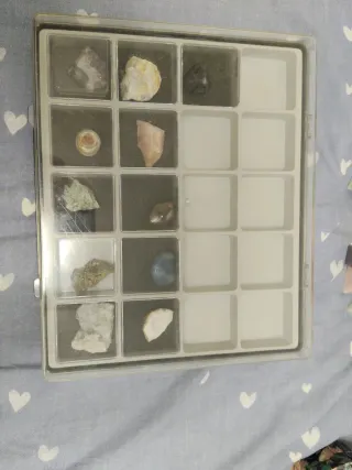 Collezione Minerali in Scatola Espositiva