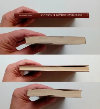 Offenbach.Idillio e parodia di Robert Pourvoyeur