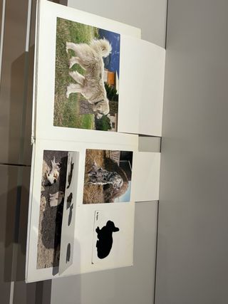 Libro” Animales de la Granja” para niños pequeños