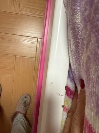 Dormitorio juvenil completo cama nido