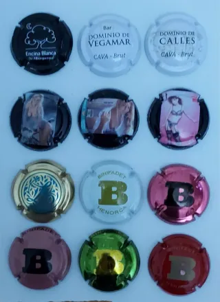 12 Placas de Cava Auton.