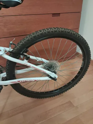 Bicicleta Junior Megamo Open 24"