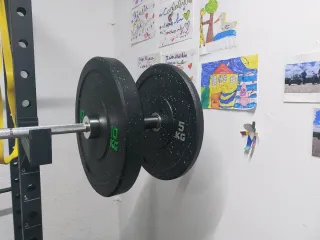 Barra Olímpica con discos