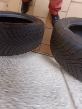 Neumáticos 225/55/17 97w