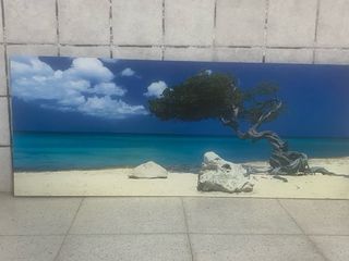 Cuadro mural playa árbol y rocas