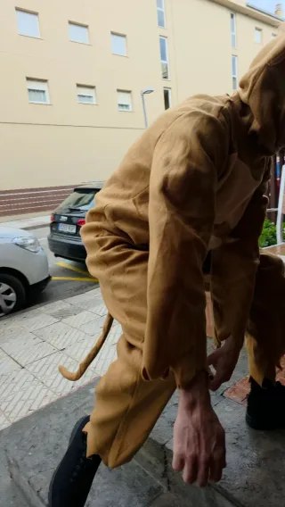 Disfraz Mono Talla L