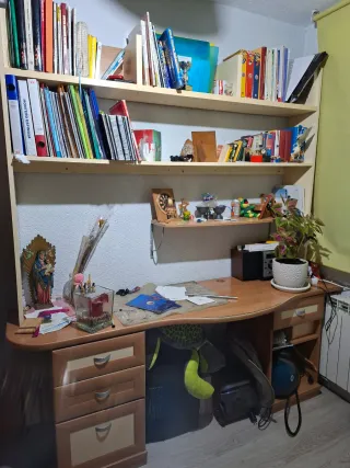 Cama nido juvenil con estanterías