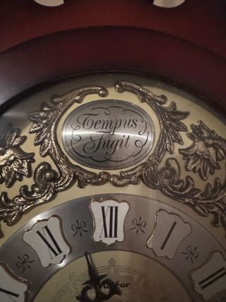 Reloj de Pared Tempus Fugit