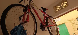 Bicicleta de montaña para adulto