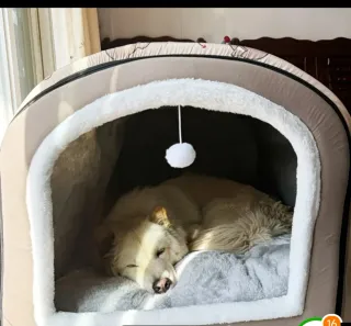 Cuna para perro color gris y blanco