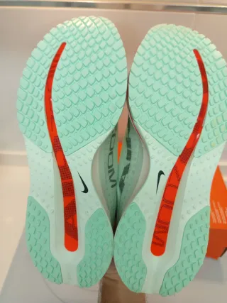 Nike Pegasus Premium 41 42.5 44 46 Verde Naranja