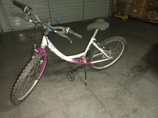 Bicicleta infantil blanca y morada