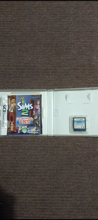 The Sims 2: Live with Friends & Pets per Nintendo