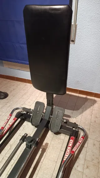 Máquina de Remo Gym Success