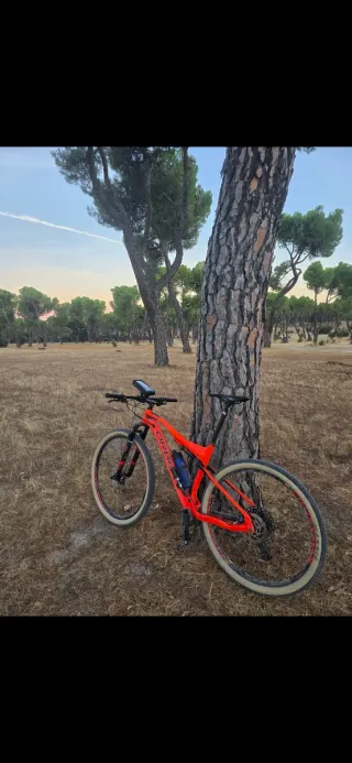 Bicicleta Orbea Oiz M50
