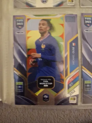 Lote Road to WC Adrenalyn XL Fifa 365 2026