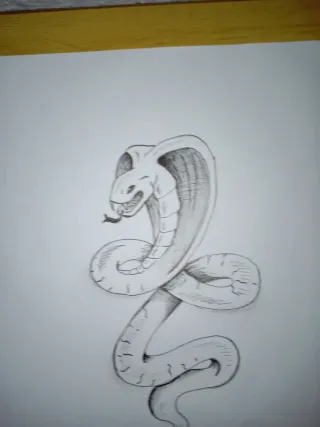 Boceto dibujo.   Cobra   A4