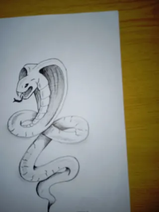 Boceto dibujo.   Cobra   A4