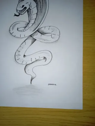 Boceto dibujo.   Cobra   A4
