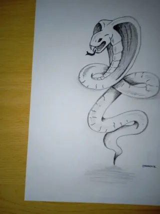 Boceto dibujo.   Cobra   A4