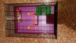Jaula para hámster con accesorios