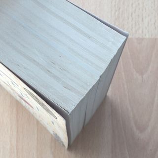 "Los pilares de la Tierra"