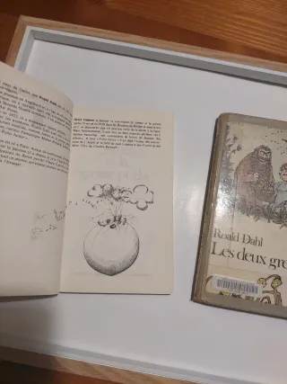 Pack Roal Dahl en francés