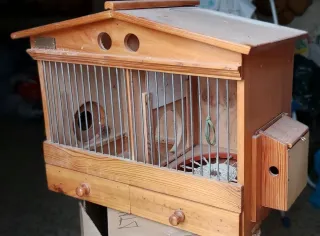 Terreros de madera para perdices