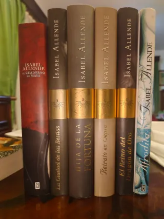 Libros de Isabel Allende se venden a 2 eur unidad