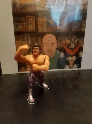 Action Figure Wrestler Rick Rude