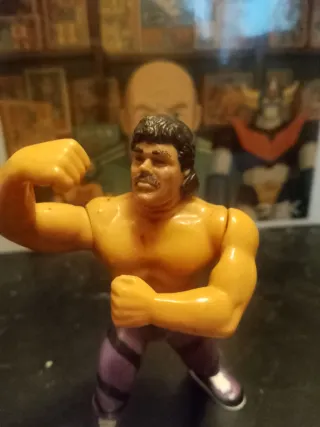 Action Figure Wrestler Rick Rude