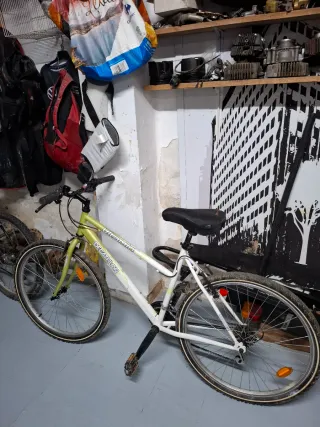 Lote 3 Bicicletas Montaña