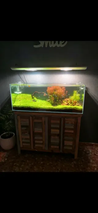 Acuario 240L con mueble y accesorios