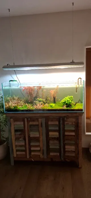 Acuario 240L con mueble y accesorios