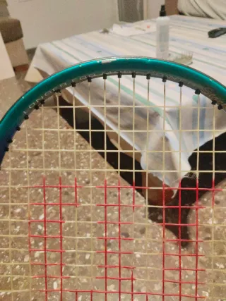 Raqueta Wilson Graphite Supreme Stretch