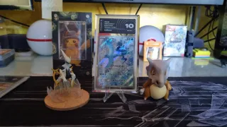 Articuno Battle Partners Giapponese Voto 10