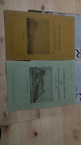 Revistas almoraima 1 y 3