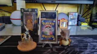 Wellspring Mask Ogerpon ex Graded 10